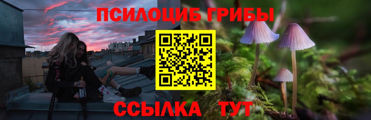 Галлюциногенные грибы GOLDEN TEACHER  Вход с VPN  Норильск 